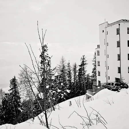 Polar Guest house